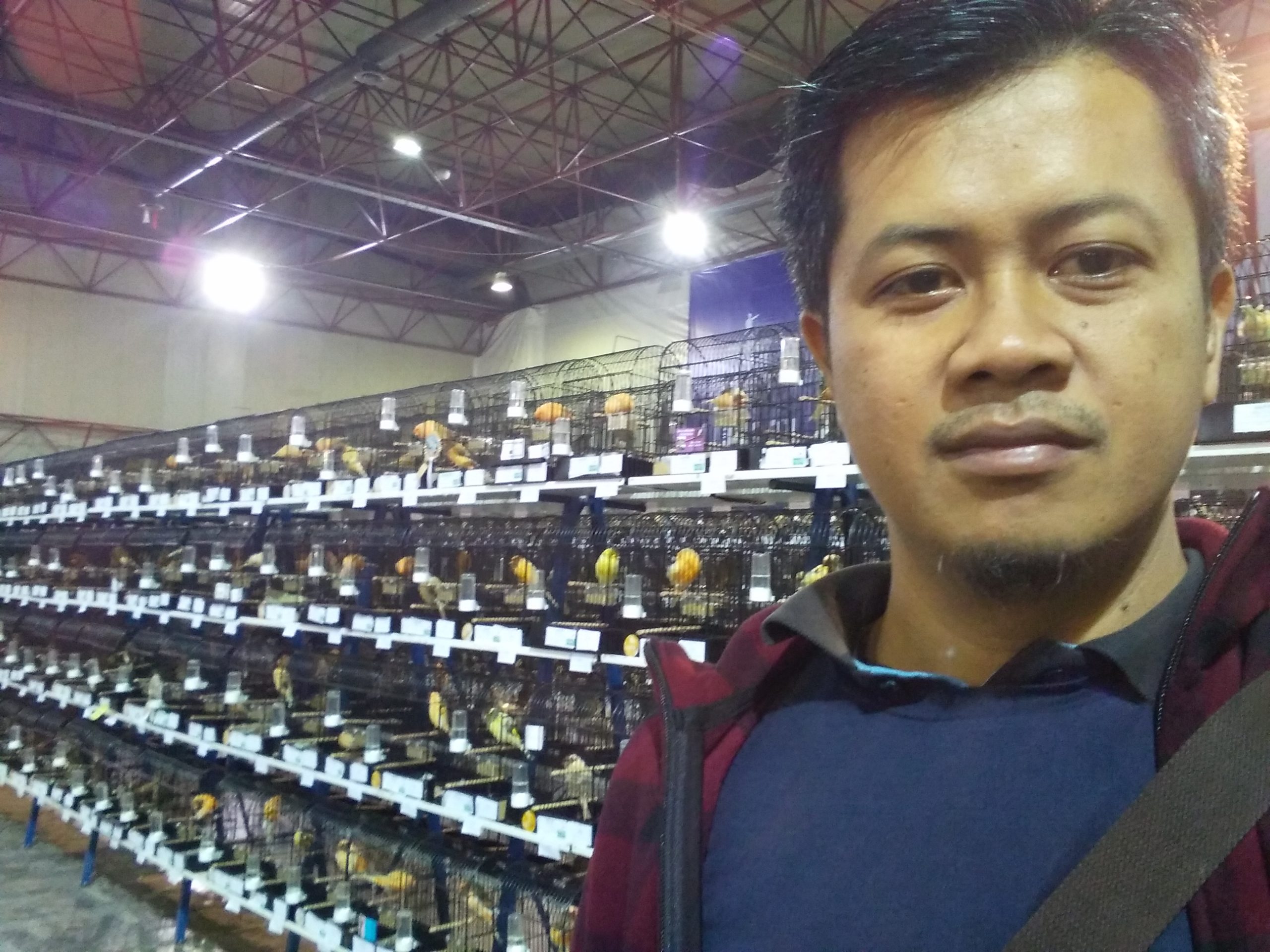 Turkiye Canary Show 2018